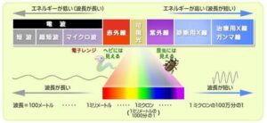 図：光の波長と、可視光線